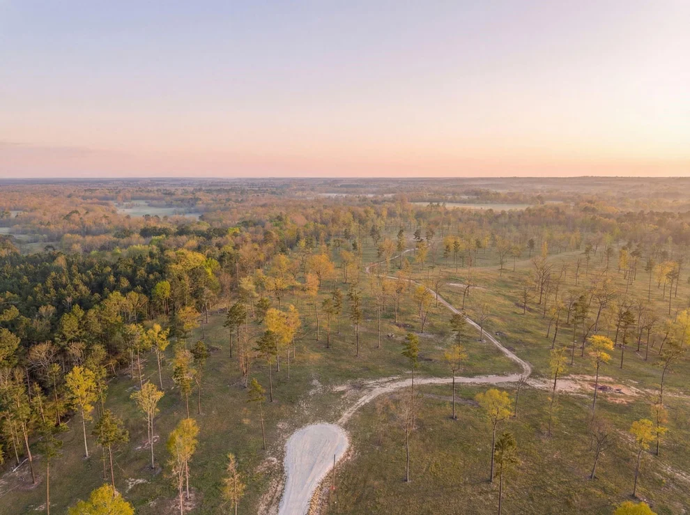 Unit for sale at Lot 7 Johnson Drive, Livingston, TX 77351