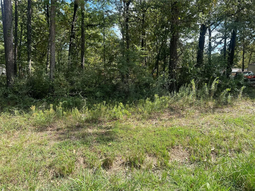 Unit for sale at TBD Meridian Lot 22, Livingston, TX 77351