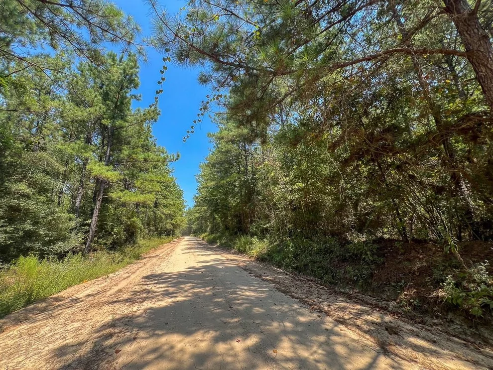 Unit for sale at 7 County Road 3230, Colmesneil, TX 75938