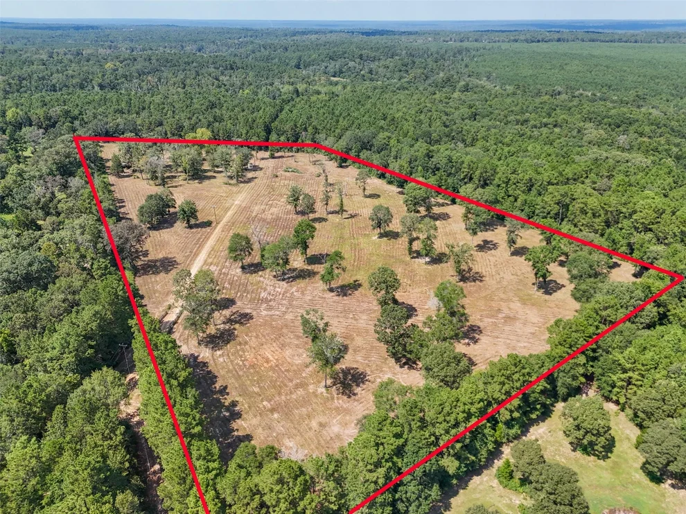 Unit for sale at 734 Salem Church Road, Willis, TX 77378