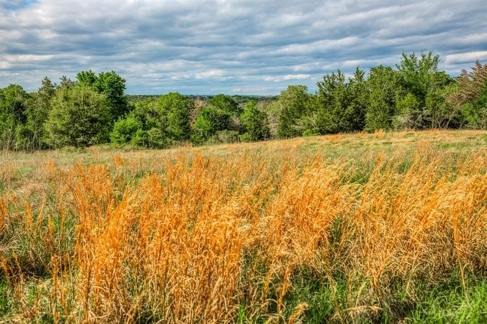 Unit for sale at TBD (56.135 Acres) County Road 125, Ledbetter, TX 78946