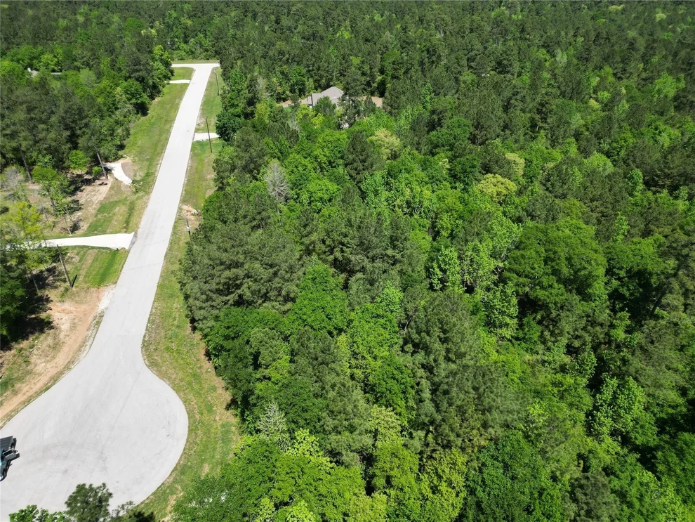 Unit for sale at 0 Pyrite Court, Huntsville, TX 77340