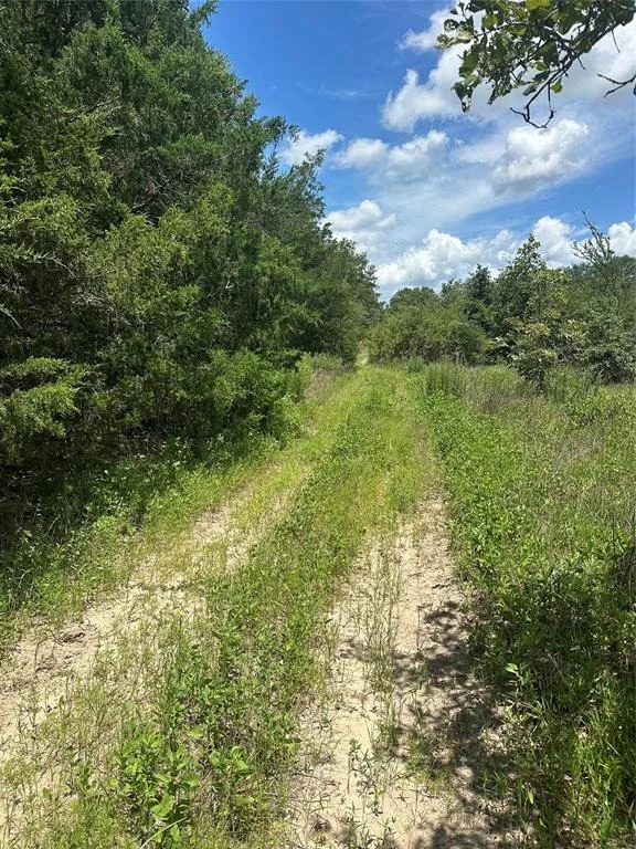 Unit for sale at 0 Chestnut Drive, Caldwell, TX 77836
