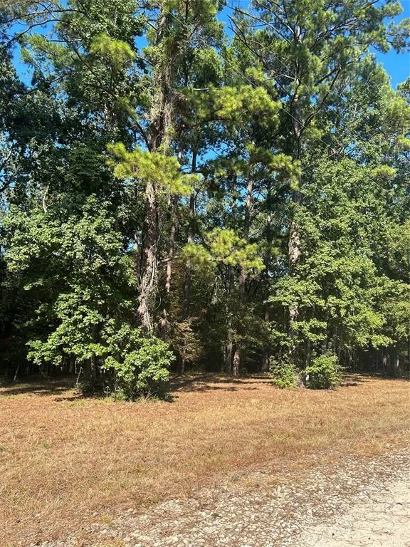 Unit for sale at 575859 Grand Pine Circle, Livingston, TX 77351