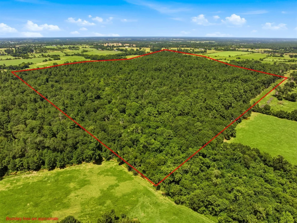 Unit for sale at 118.25 Acres Cr 278c, Anderson, TX 77830