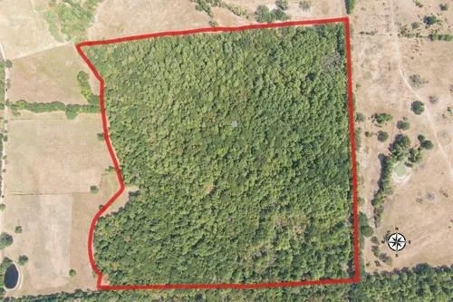 Unit for sale at AB 217 Private Road, Crockett, TX 75835