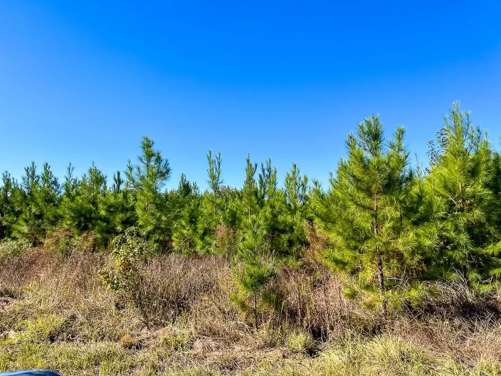 Unit for sale at T-4 Fm 787, Votaw, TX 77376