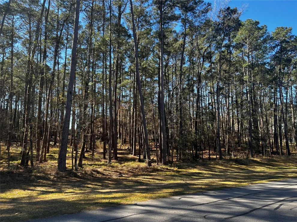 Unit for sale at 26 Altwood Drive, Coldspring, TX 77331