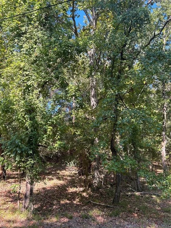 Unit for sale at TBD Joanna Hill, Livingston, TX 77351
