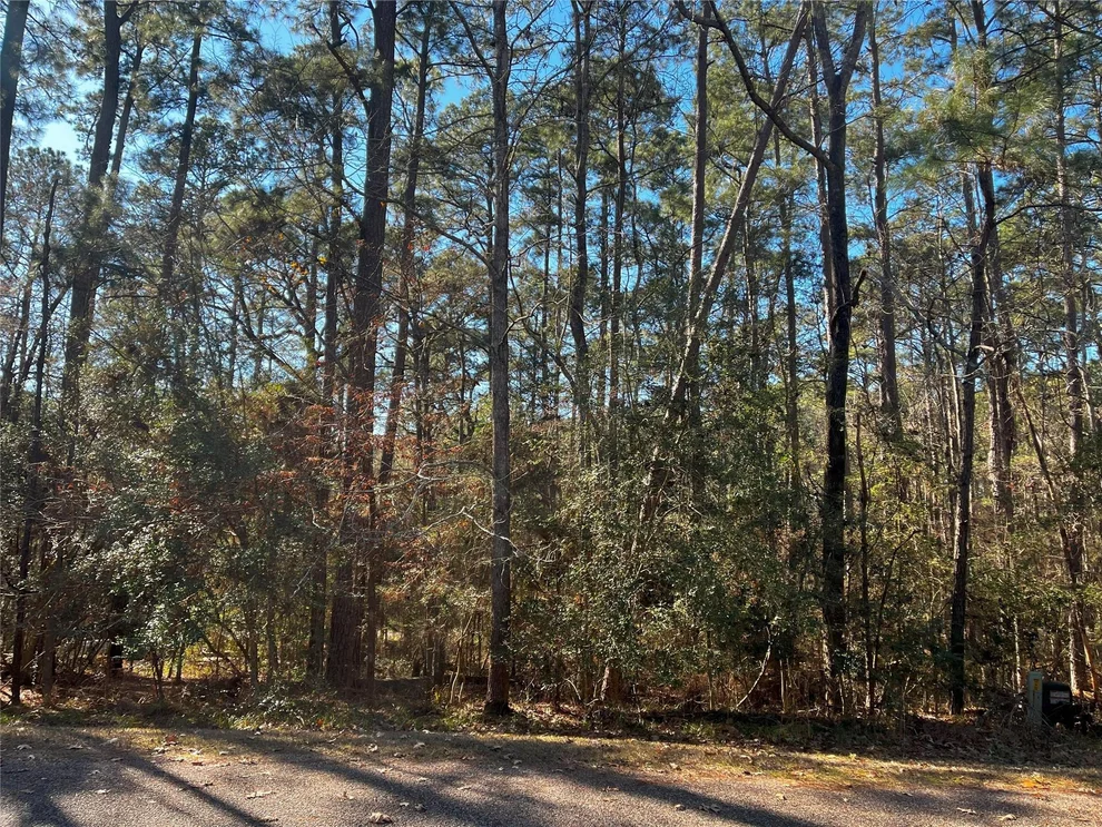 Unit for sale at 61 Sunny Hill Drive, Coldspring, TX 77331