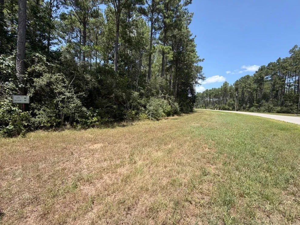 Unit for sale at Lot 54 Grey Feather Road, Huntsville, TX 77340