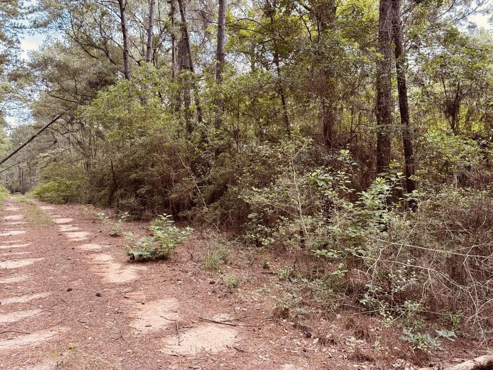 Unit for sale at 16646 E Sioux Drive, Hempstead, TX 77445