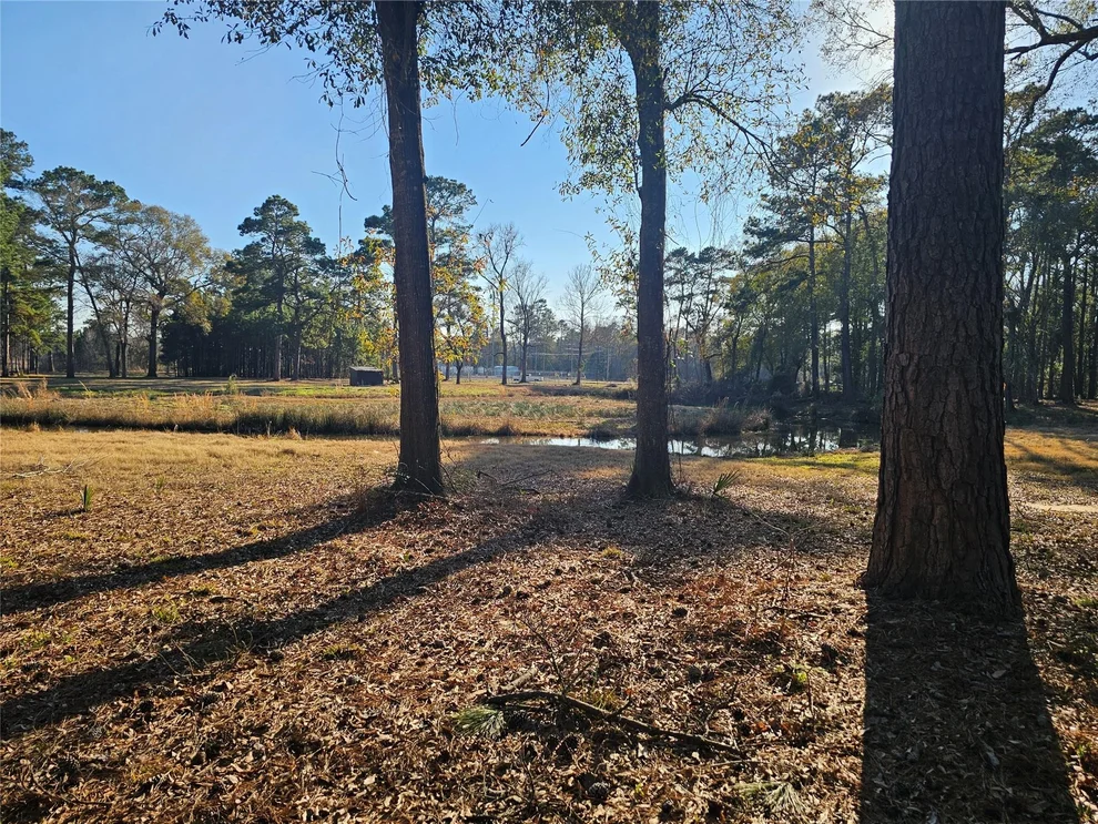 Unit for sale at 1325 Fm 223 Road, Shepherd, TX 77371