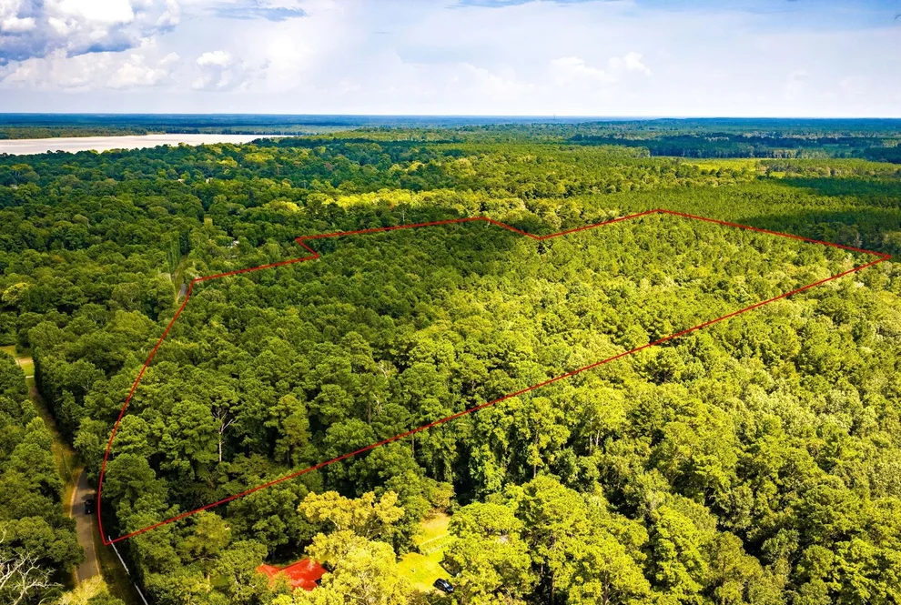 Unit for sale at TBD Cr 4120, Woodville, TX 75979