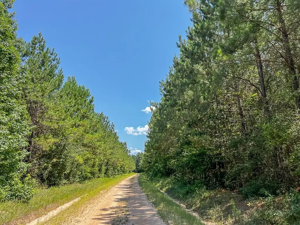 Unit for sale at 000000 Cr 368a, Zavalla, TX 75980