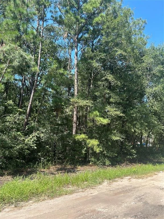 Unit for sale at TBD Southland Circle, Livingston, TX 77351