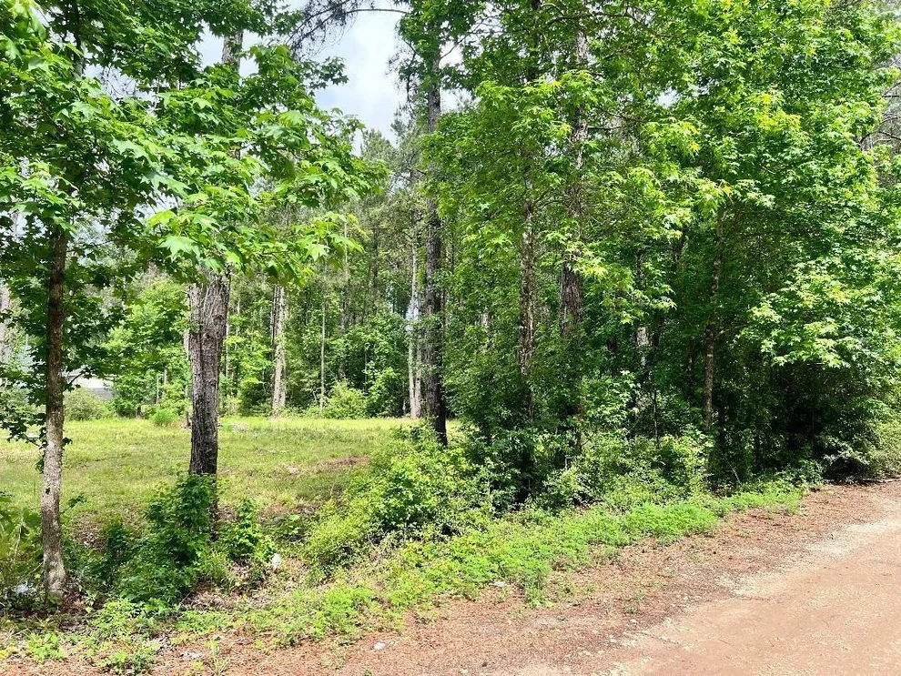 Unit for sale at 19212 Cannock Court, New Caney, TX 77357