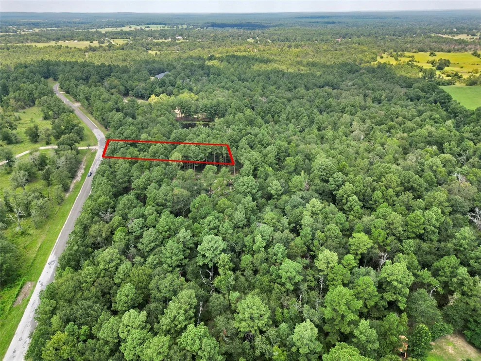 Unit for sale at 446 Moffett Springs Road, Huntsville, TX 77320