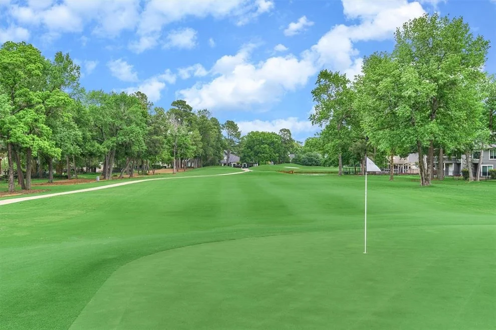 Unit for sale at 5 Coralvine Court, The Woodlands, TX 77380