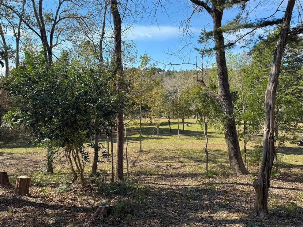 Unit for sale at 380 Cedar Valley Drive, Coldspring, TX 77331
