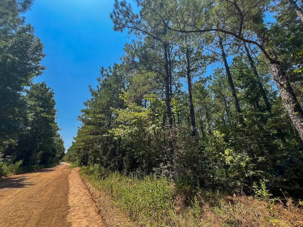 Unit for sale at 3 County Road 3230, Colmesneil, TX 75938