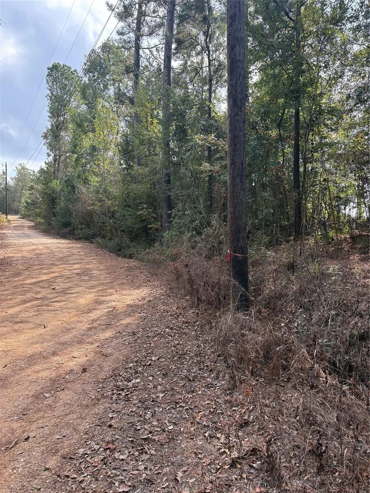 Unit for sale at TBD Glen Nettles Road, Livingston, TX 77351
