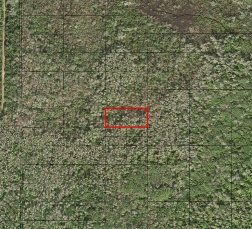 Unit for sale at 0 Holopaw Groves Road, St Cloud, FL 34772