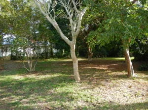 Unit for sale at 750 Oleander Street, Boca Raton, FL 33486