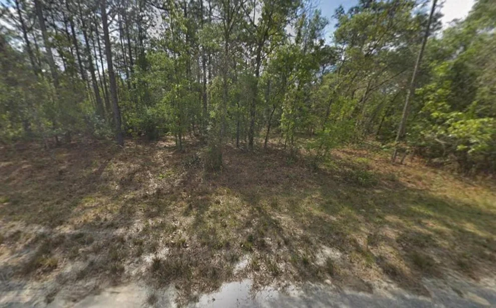 Unit for sale at Tbd Resort Avenue, Weeki Wachee, FL 34614
