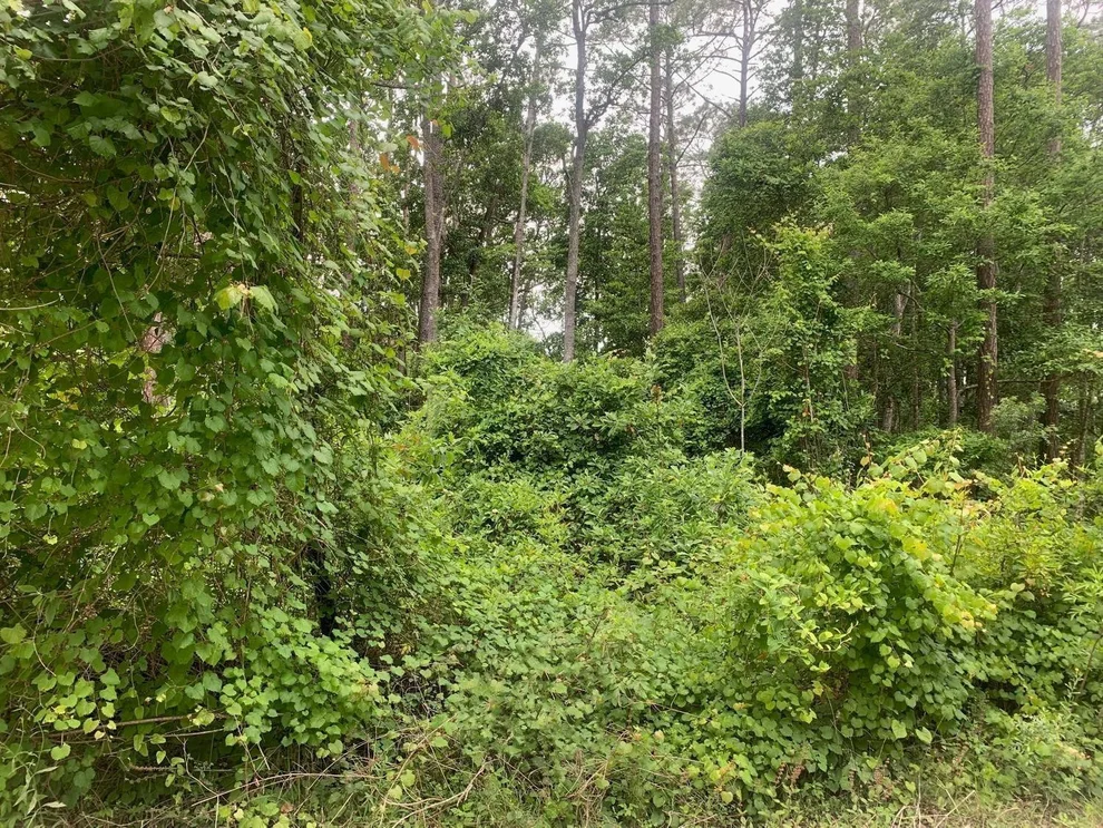 Unit for sale at 123 Coot Road, Satsuma, FL 32189