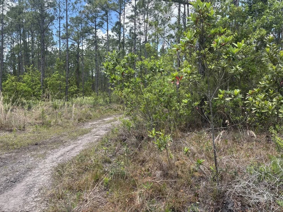 Unit for sale at 0 Holopaw Groves Road, St Cloud, FL 34772