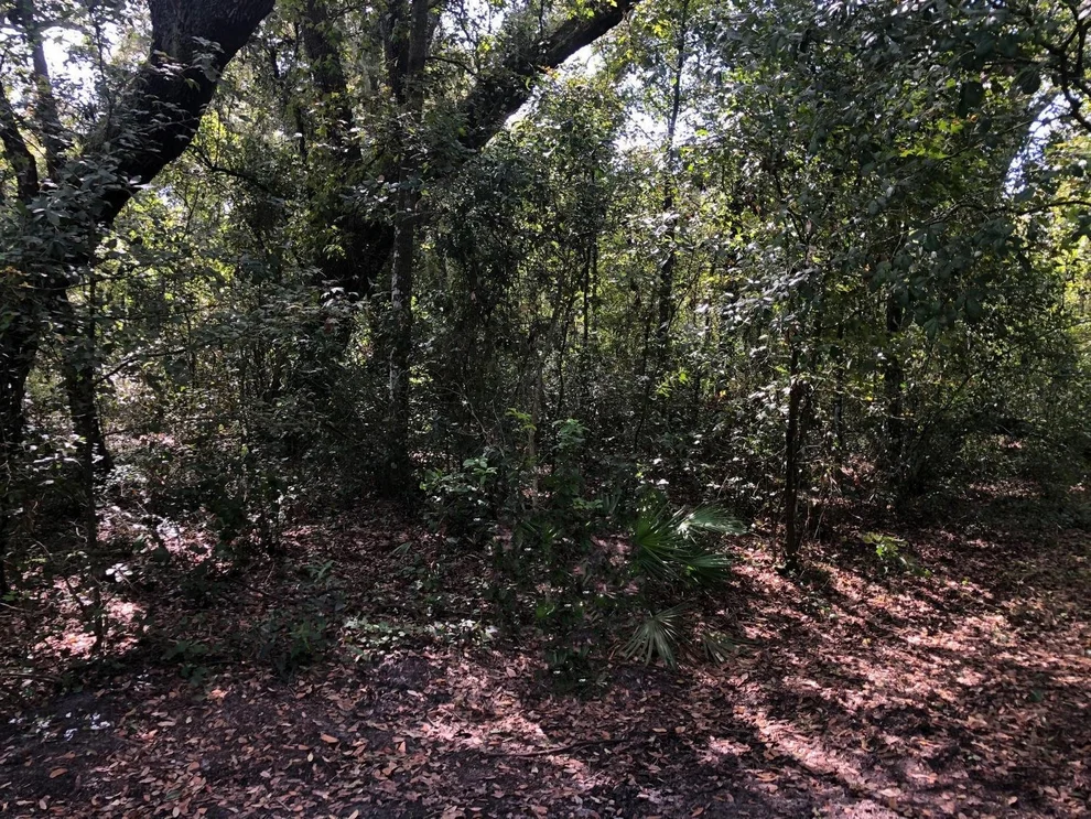 Unit for sale at 0 Co Rd 54, Kathleen, FL 33849