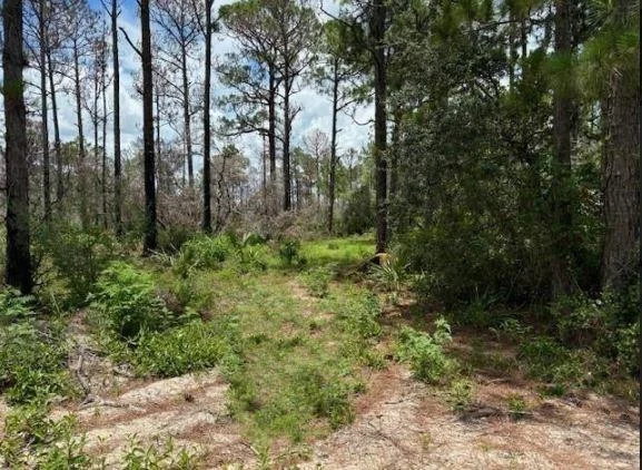 Unit for sale at 328 Claverton Drive, Lake Placid, FL 33852