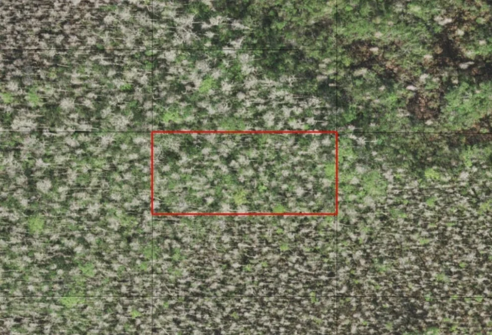 Unit for sale at 0 Holopaw Groves Road, St Cloud, FL 34772