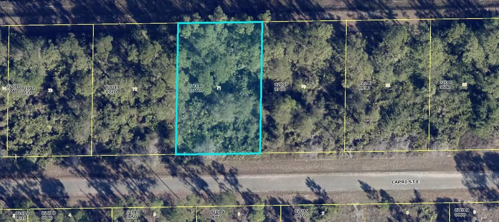 Unit for sale at 1113 Capri Street E, Lehigh Acres, FL 33974