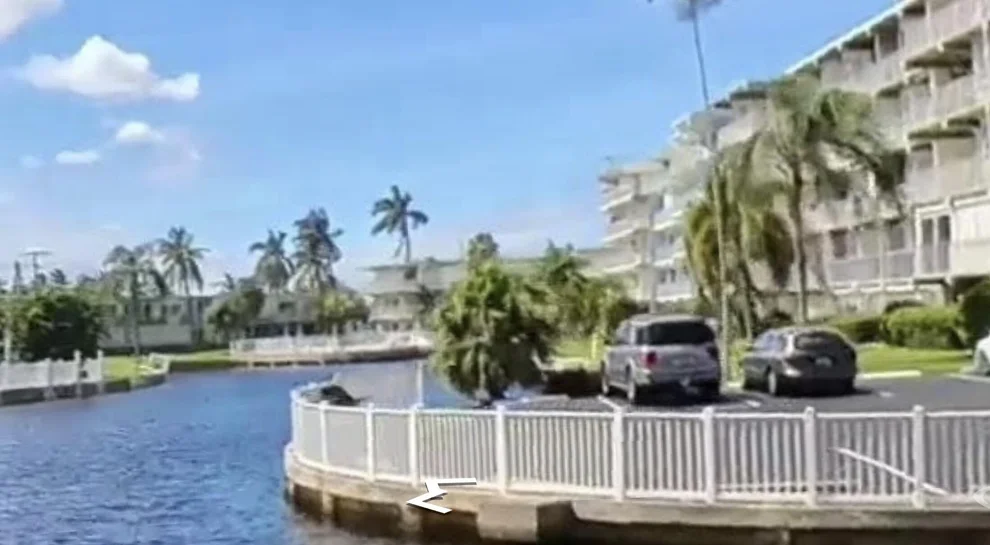 Unit for sale at 1536 SE 15TH Court, Deerfield Beach, FL 33441