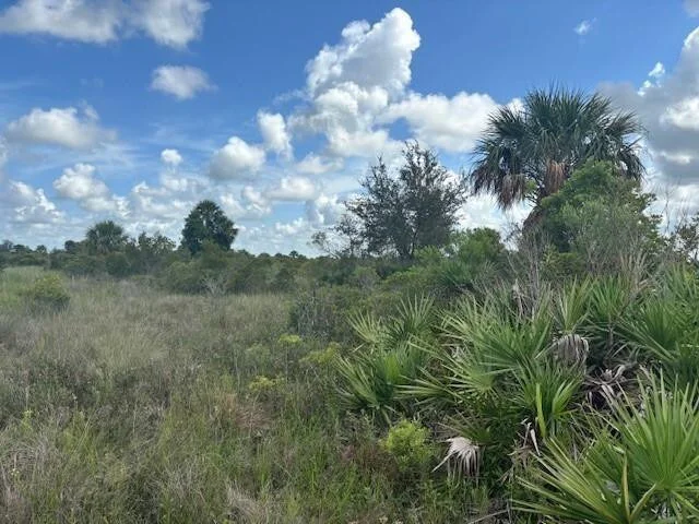 Unit for sale at 0 NW 316th Street, Okeechobee, FL 34972