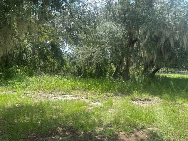 Unit for sale at 0 Old Stokes Road, Frostproof, FL 33843
