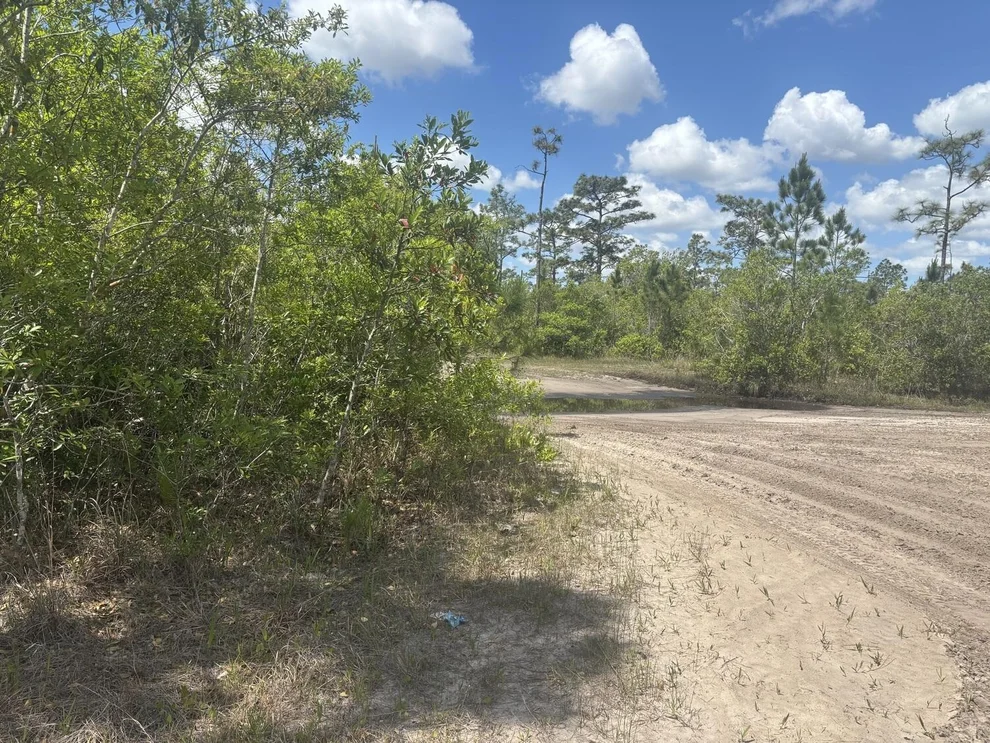 Unit for sale at 0 Holopaw Groves Road, St Cloud, FL 34772