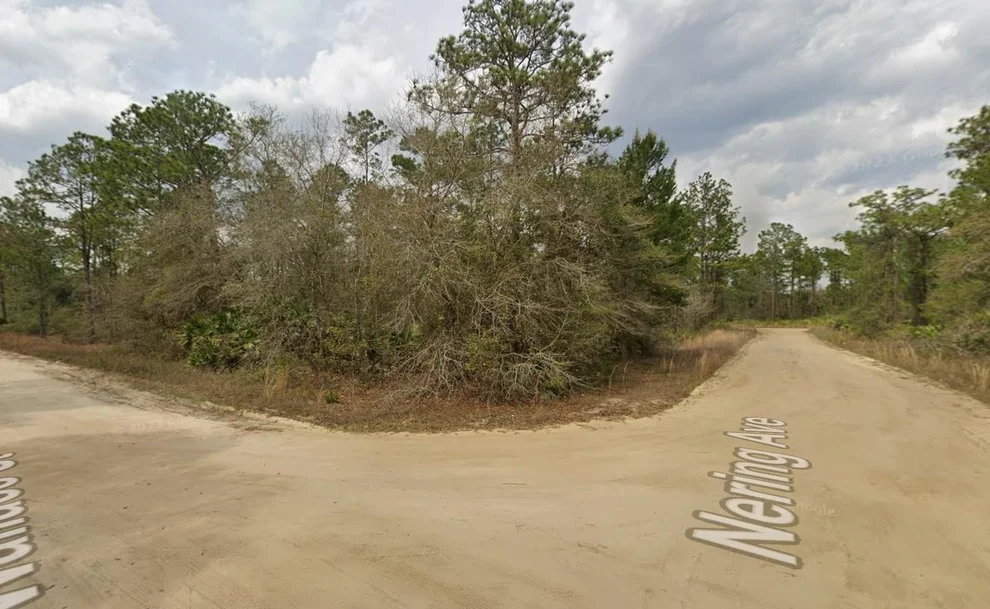 Unit for sale at Tbd Wallace Street, Interlachen, FL 32148