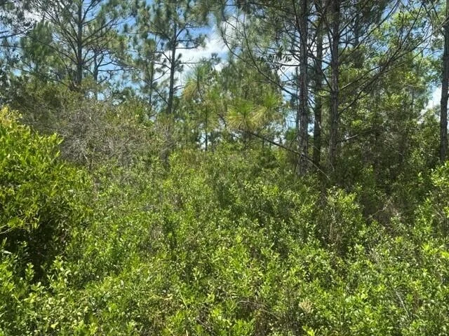 Unit for sale at 0 Holopaw Groves Road, St Cloud, FL 34772