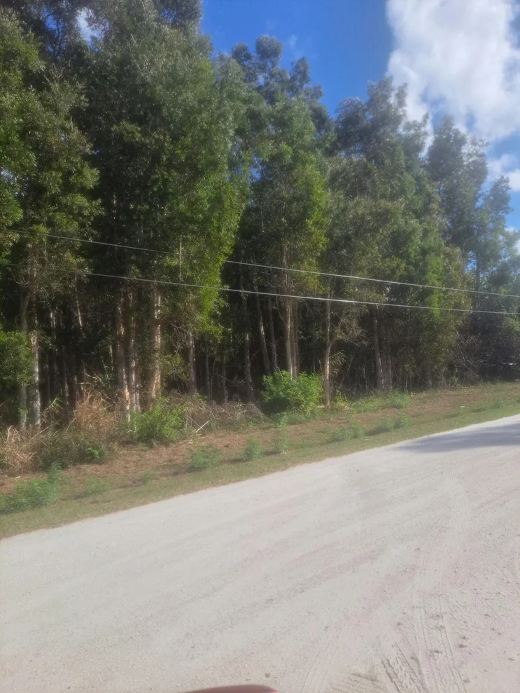 Unit for sale at 14845 62nd Court N, The Acreage, FL 33470