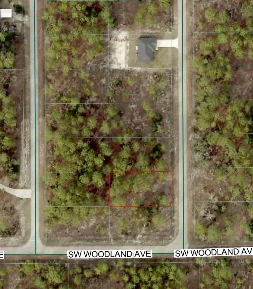 Unit for sale at Tbd SW Buena Vista Road, Dunnellon, FL 34431