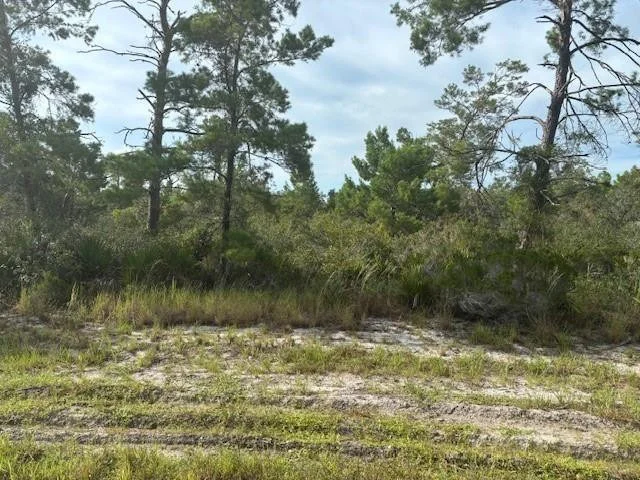 Unit for sale at 0 Cypress Street, Interlachen, FL 32148