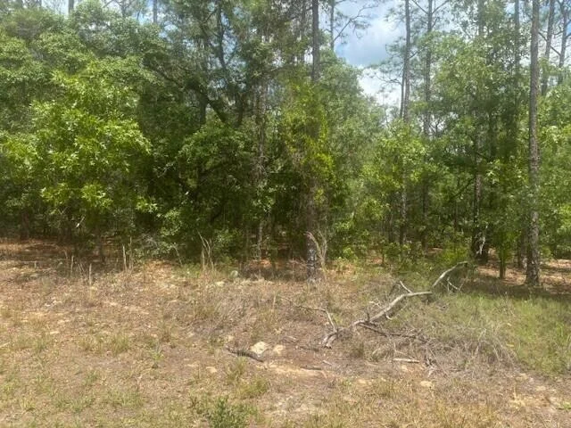 Unit for sale at 8593 N Bambury Terrace, Citrus Springs, FL 34434