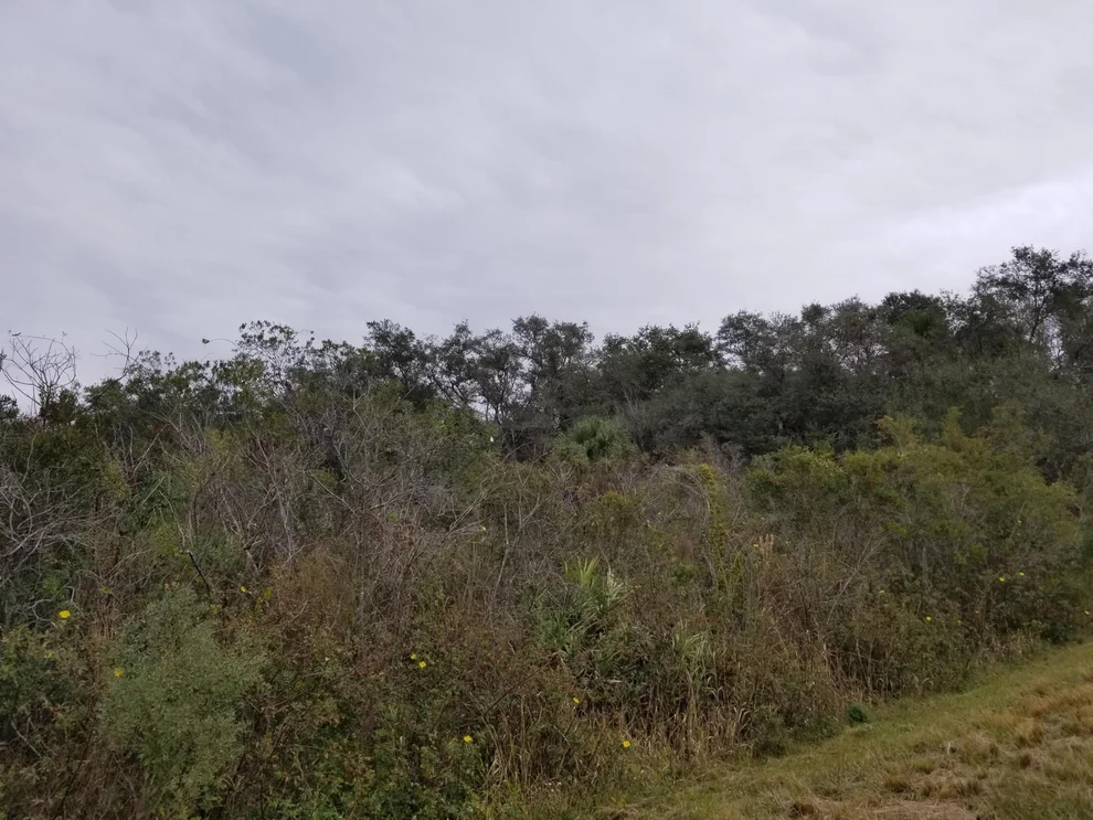Unit for sale at 19515 NW 242nd Street, Okeechobee, FL 34972