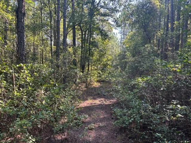 Unit for sale at 224 SE 8th Avenue, Palatka, FL 32177