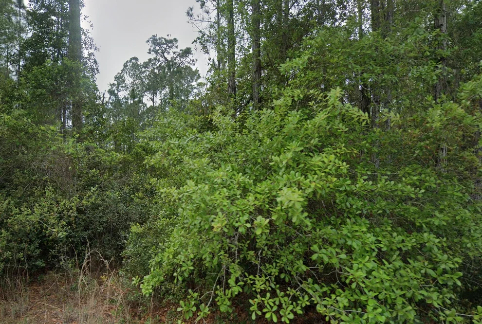 Unit for sale at 107 Glenside Street, Georgetown, FL 32139