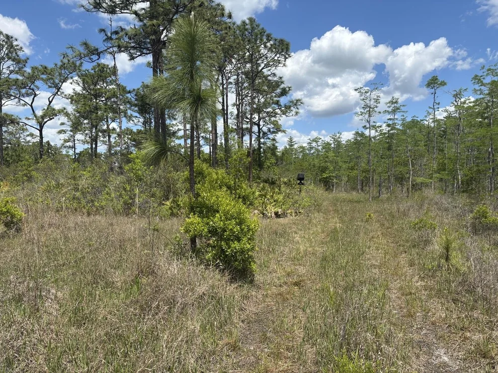 Unit for sale at 0 Holopaw Groves Road, St Cloud, FL 34772