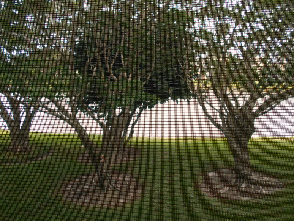 Unit for sale at 203 Wellington, West Palm Beach, FL 33417